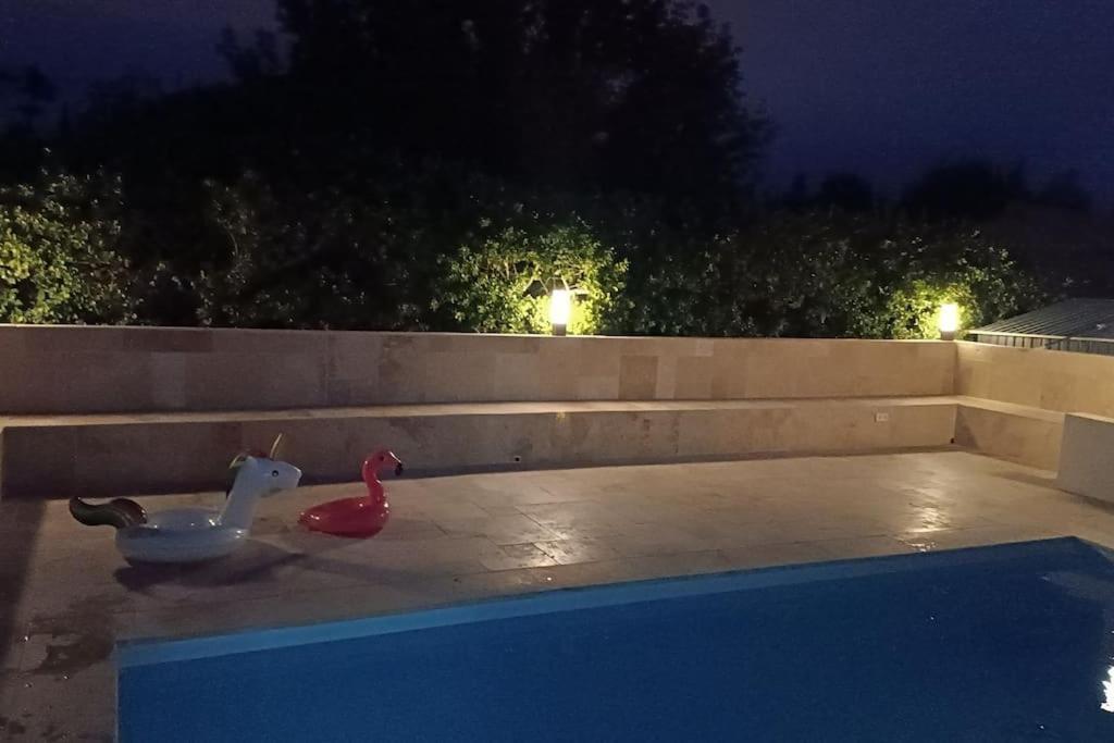 Charmant Studio Avec Piscine Villemoustaussou Exterior photo